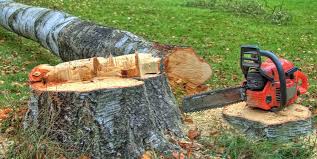 Best Tree Maintenance Programs  in Rural Retreat, VA