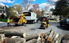 Best Organic Lawn Care Solutions  in Rural Retreat, VA