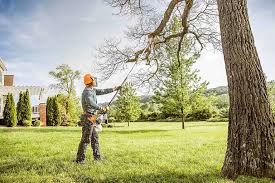 Best Artificial Turf Installation  in Rural Retreat, VA