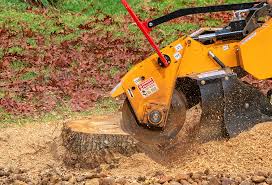 Professional Tree Services in Rural Retreat, VA