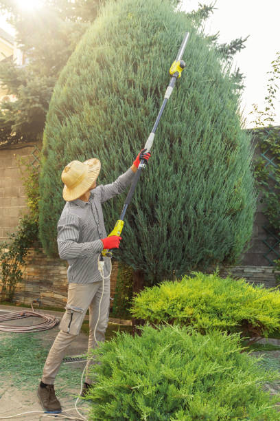 Best Soil Testing and Treatment  in Rural Retreat, VA